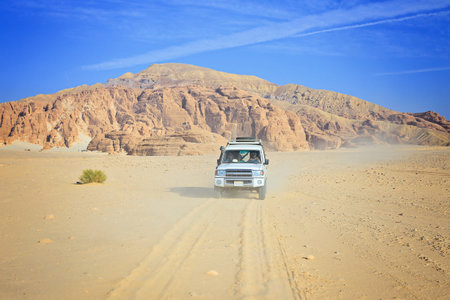 safari jeepのeditorial素材