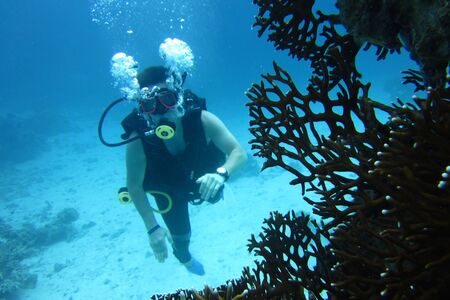 scuba diverの写真素材