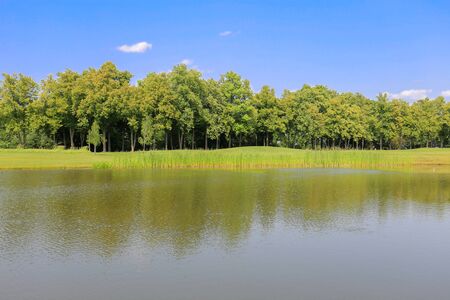 Summer landscape with lakeの写真素材