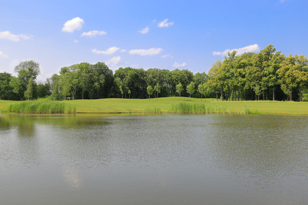 Summer landscape with lakeの写真素材
