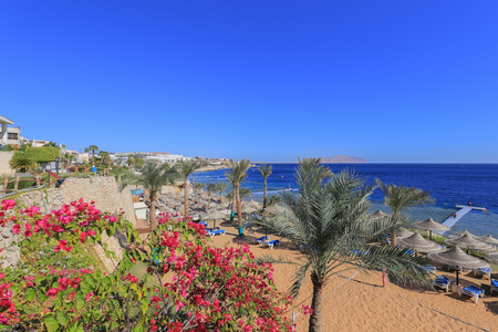 sharm el sheikhの写真素材