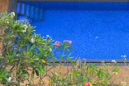 outdoor swimming poolの写真素材