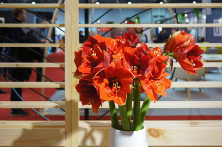 flowers in a vaseの写真素材