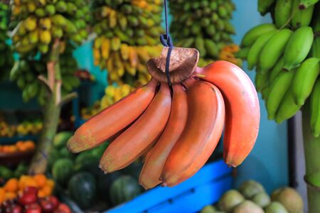 red bananas in the market close upの写真素材