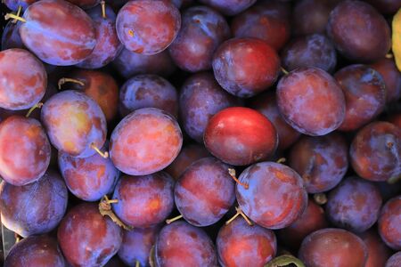 Background of ripe plums on the market close upの写真素材