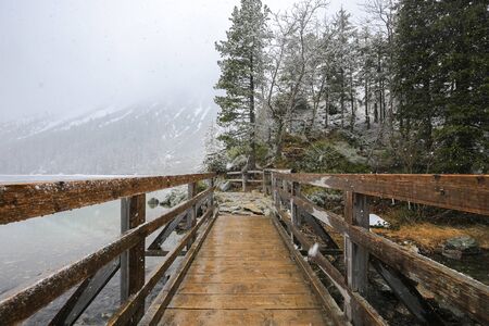 Wooden bridge in the winter forestの写真素材