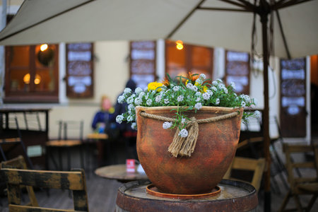 Flowers in the pot in outdoor cafeの写真素材