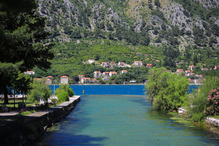 Houses on the coast in the city of Kotor, Montenegro