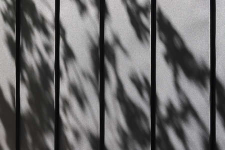 Gray background, textured wall covering close upの写真素材