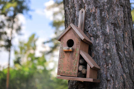 Birdhouse hanging on a tree in summerの写真素材