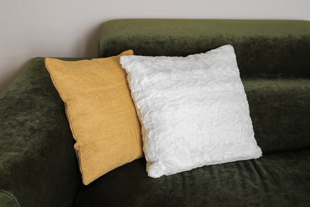 Two decorative pillows on the sofa at homeの写真素材
