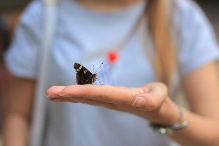 Butterfly sits on a woman hand close-upの写真素材