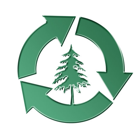 Green three arrow recycling symbol with coniferous tree silhouete over white background - tree preservation conceptの写真素材