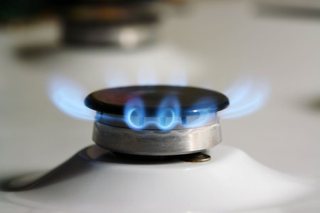 Closeup of lit gas cooker burner
