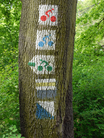 Group of bicycle route signs painted on tree trunkの写真素材