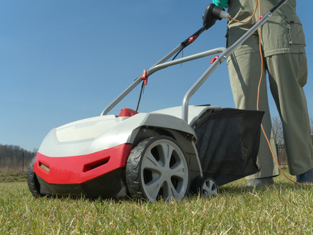 Female gardener scarifying her backyard lawn using electric scarifierの写真素材