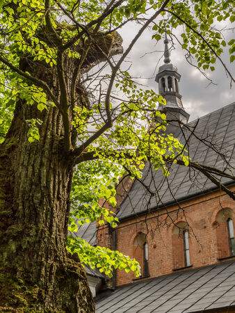 Historical St James Church in Sandomierz, Poland, part of the famous Pilgrim St James Routes の写真素材