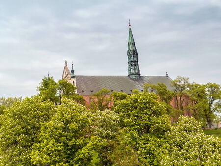 Historical Cathedral in Sandomierz, Polandの写真素材