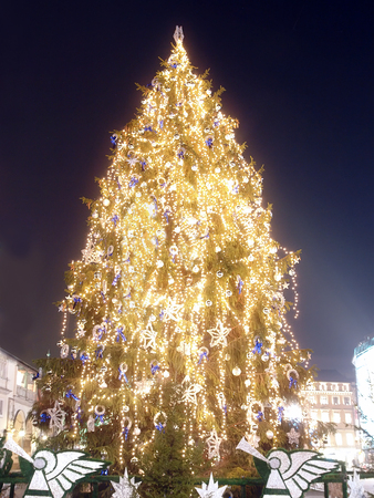 Giant christmas tree illuminated on the Main Marketの写真素材