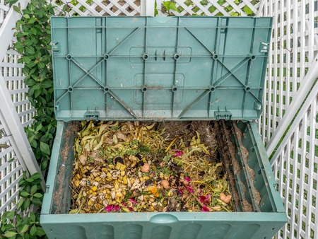 Green plastic compost bin full of organic and domestic food scrapsの写真素材