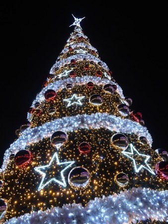 Giant outdoors Christmas tree illuminated at the evening night against dark blue skyの写真素材