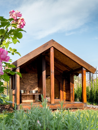 Wooden kennel in the backyardの写真素材