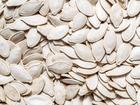 Background of raw pumpkin seedsの写真素材