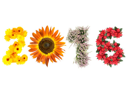 2016 New Year date formed from marigold flowers, sunflower, heather and poinsettia representing four season of the yearの写真素材