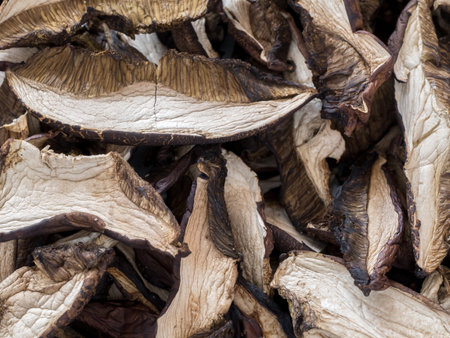Closeup of dried bolete mushroomsの写真素材