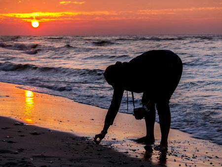 Silhouette of young woman picking up seashells from the beach against the sunset