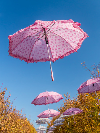 Pink umbrellas rising into the blue skyの写真素材