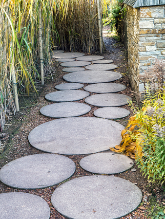 Circle concrete slab path in the gardenの写真素材