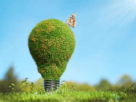 3D rendering of lightbulb covered with grass resting in grassy field against blue sky - green energy conceptの写真素材