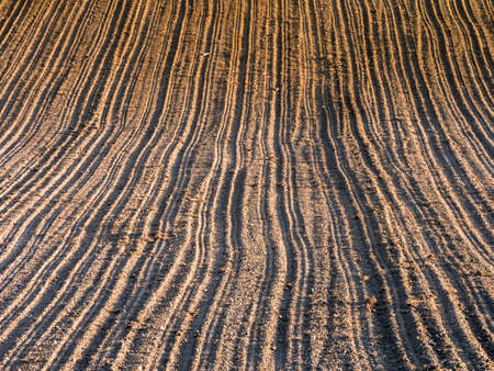 Aerial view of arable field with harrow drills side-lit by the late afternoon Sunの写真素材