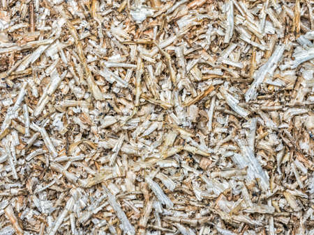 Background of wooden planing chips shot from aboveの写真素材