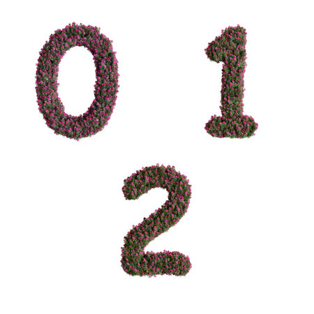 3D rendering of Nerium oleander flowers alphabet - digits 0-2