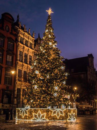 Giant Christmas Tree standing next to Neptune's Fountain, Old Town, Gdansk, Polandの写真素材