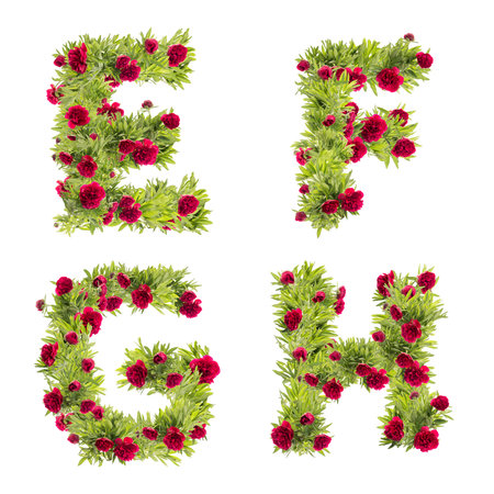 3D illustration of Peony flowers capital letter alphabet - letters EHの写真素材