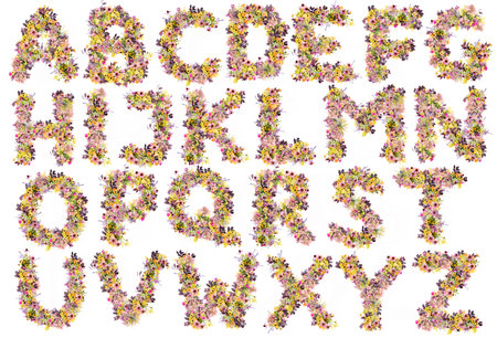 Illustration of a set of wild flowers capital letter alphabet - letters AZの写真素材