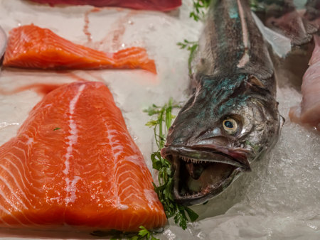 Fresh food market offering large variety of fresh fish and sea food, Murci, Spainの写真素材