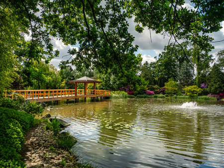 A peaceful Japanese garden featuring a wooden gazebo, lush greenery, and a serene pond, exuding tranquility and harmony, making it a perfect environment for meditation and relaxationの写真素材