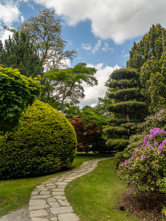 Peaceful garden with a winding stone pathway, beautiful trees, bushes, and colorful blooms under a blue sky, creating a calm and refreshing natural atmosphereの写真素材