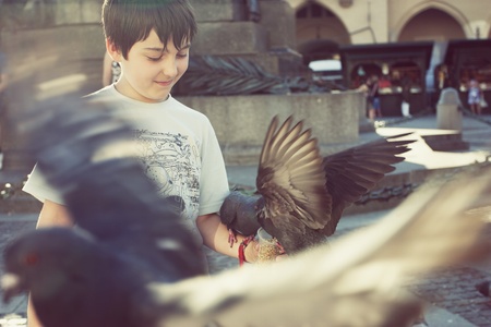 Boy feeding pigeons in old town squareの写真素材