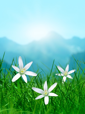 Spring flowers in grass with mountain and sunlight at backgroundの写真素材