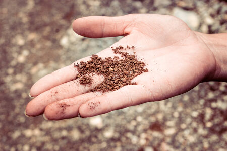 Close up of dry ground on a woman handの写真素材