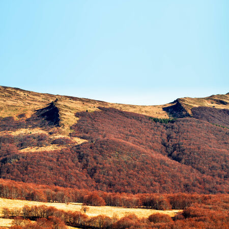 Beautiful autumn landscape in the mountainsの写真素材