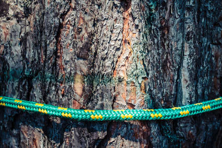 Close up of rope tied on treeの写真素材