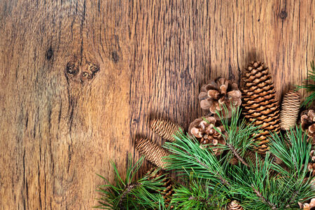 Christmas decoration - pine twigs and cones on wooden background. Space for textの写真素材