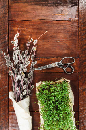Easter composition of cress, willow twigs with catkins and scissors on old wooden table. Catkins are wrapped up in paper. Space for text at the top. Inside top shot. Vertical image.の写真素材