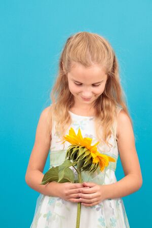 Young girl looking at sunflower. Front view on blue backgroundの写真素材